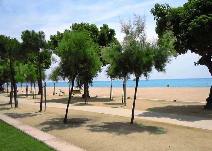 Camping Càmping Bellsol